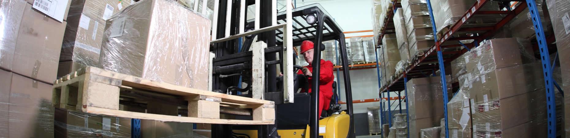 cicognaservizi it servizi-logistica-settore-ittico-bologna 004